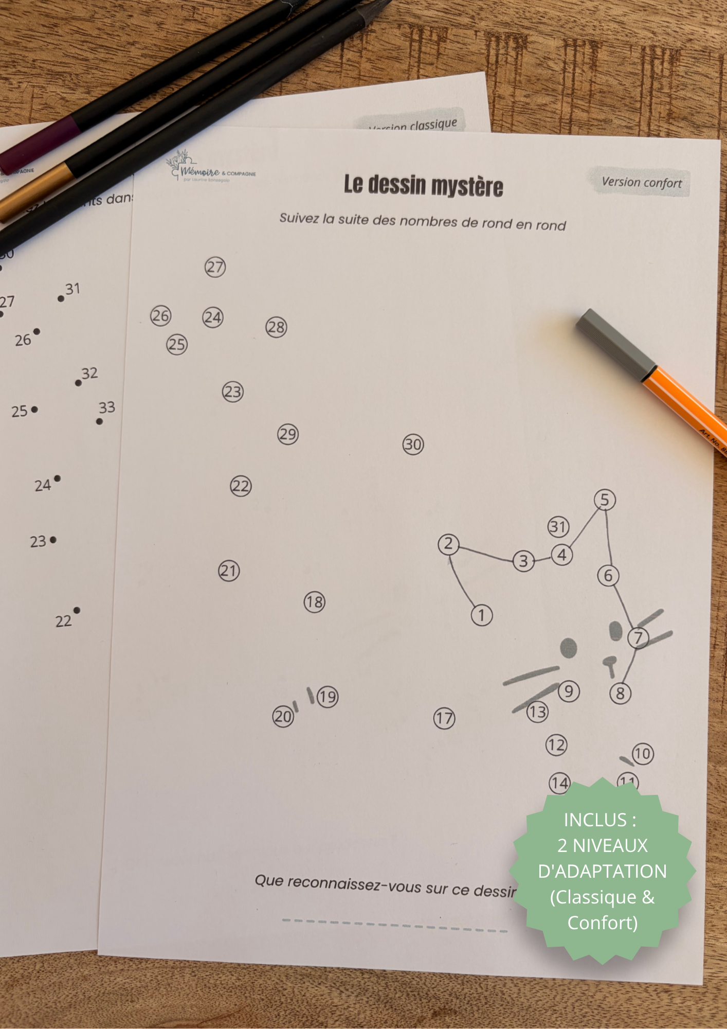 Le Dessin Mystère (2 niveaux inclus) - Le chat