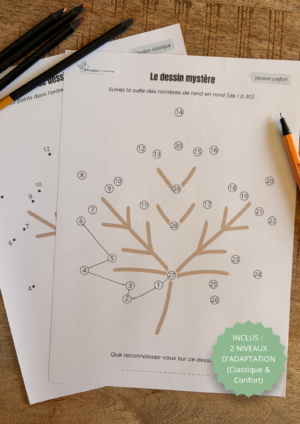 Le Dessin Mystère (2 niveaux inclus) - La Feuille