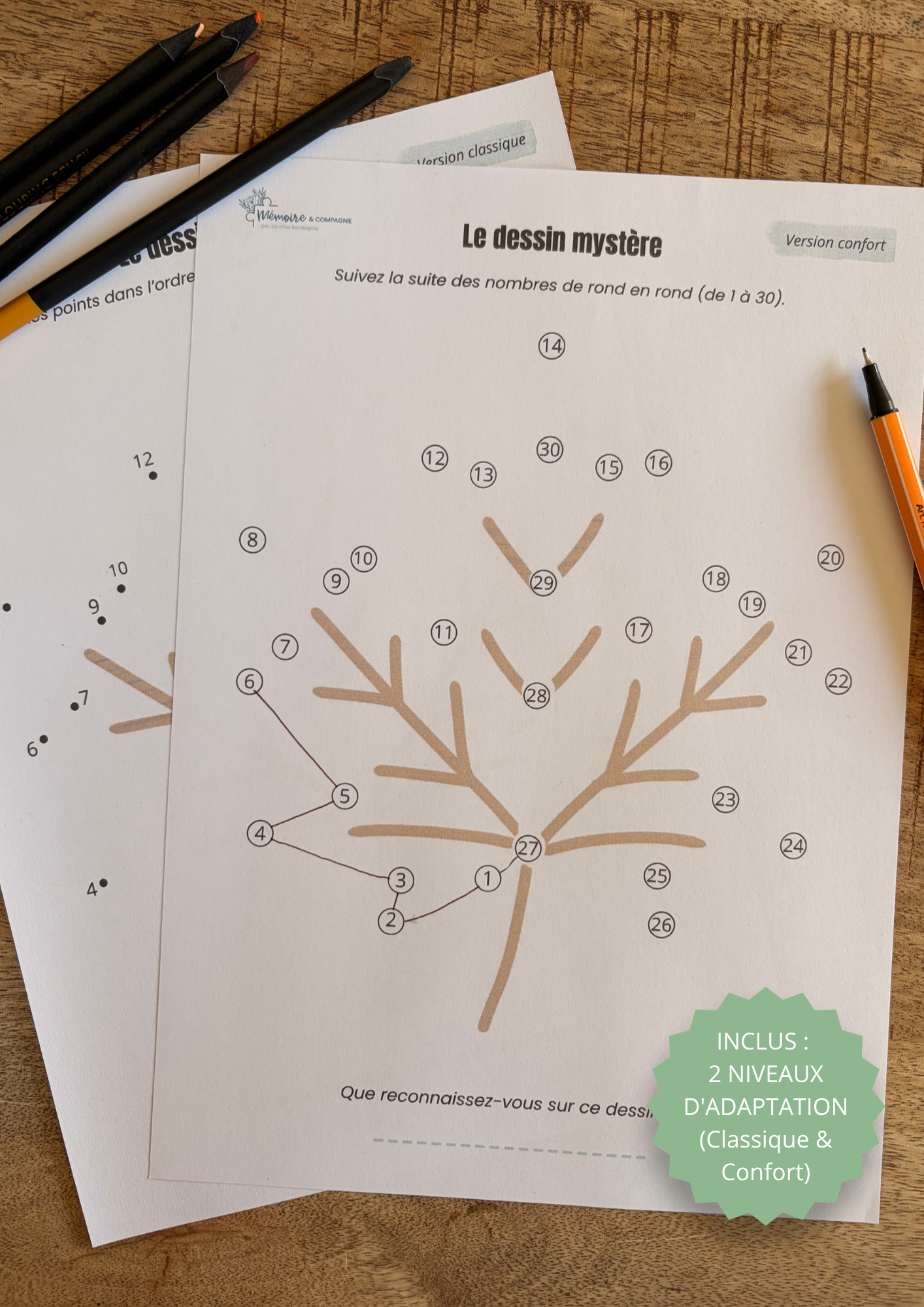 Le Dessin Mystère (2 niveaux inclus) - La Feuille