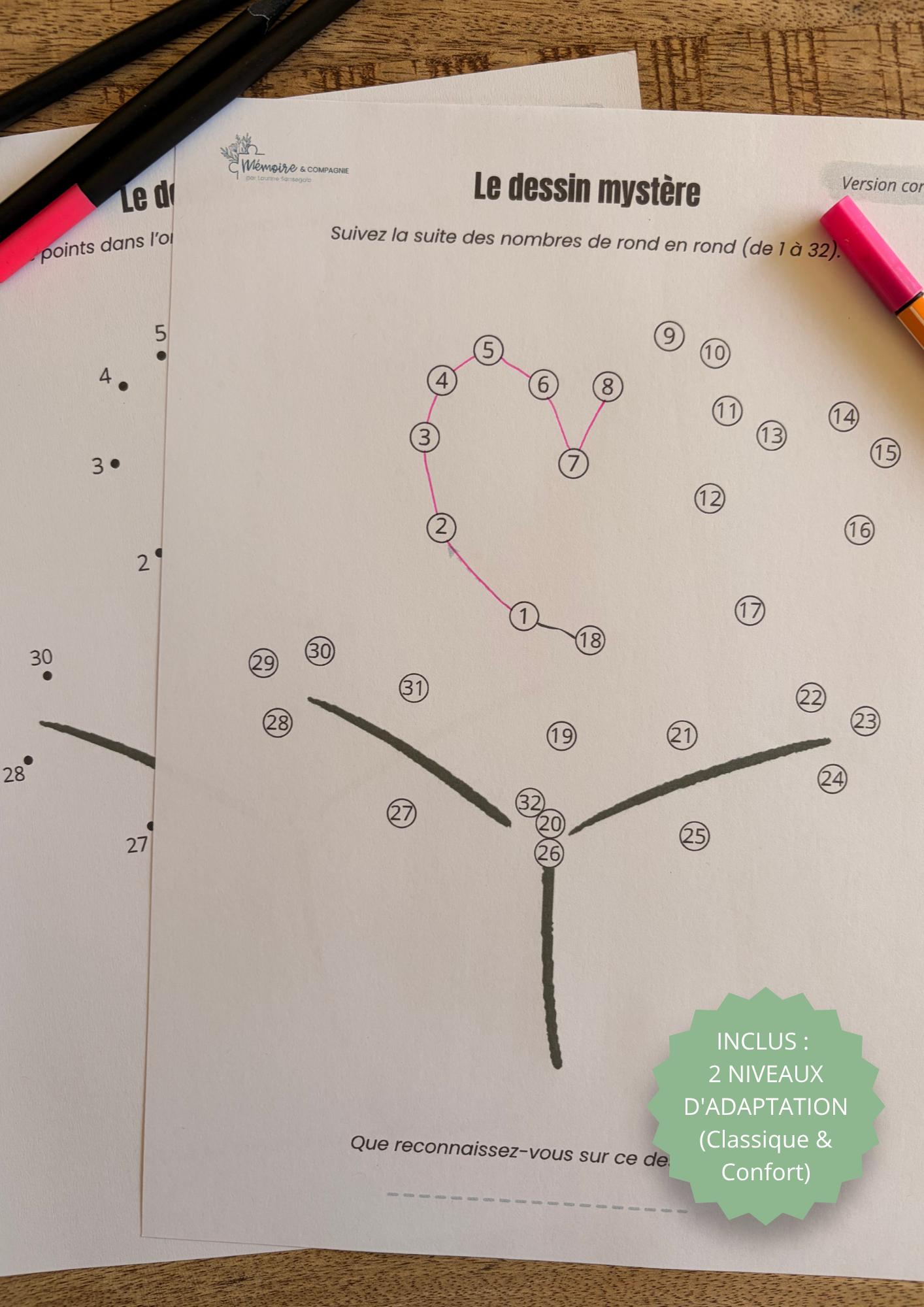 Le Dessin Mystère (2 niveaux inclus) - La fleur